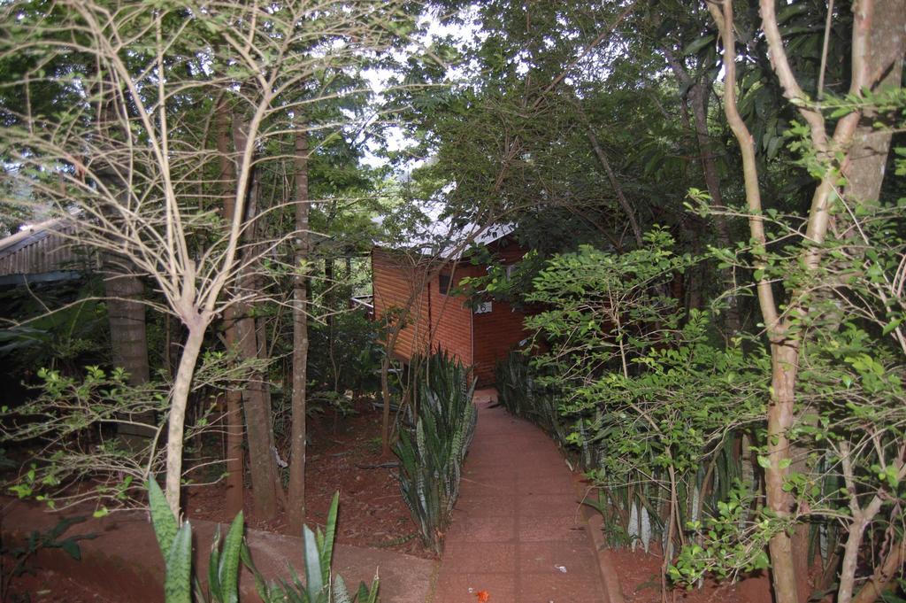 Panambi Lodge B&B Puerto Iguazú Exterior foto